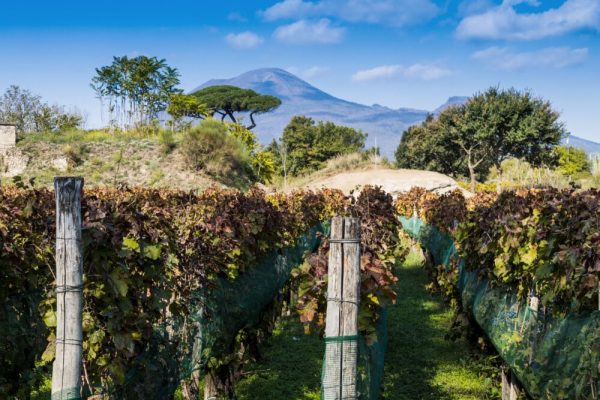 Italy, Campania – ancient Roman city Italy, Campania - ancient Roman city